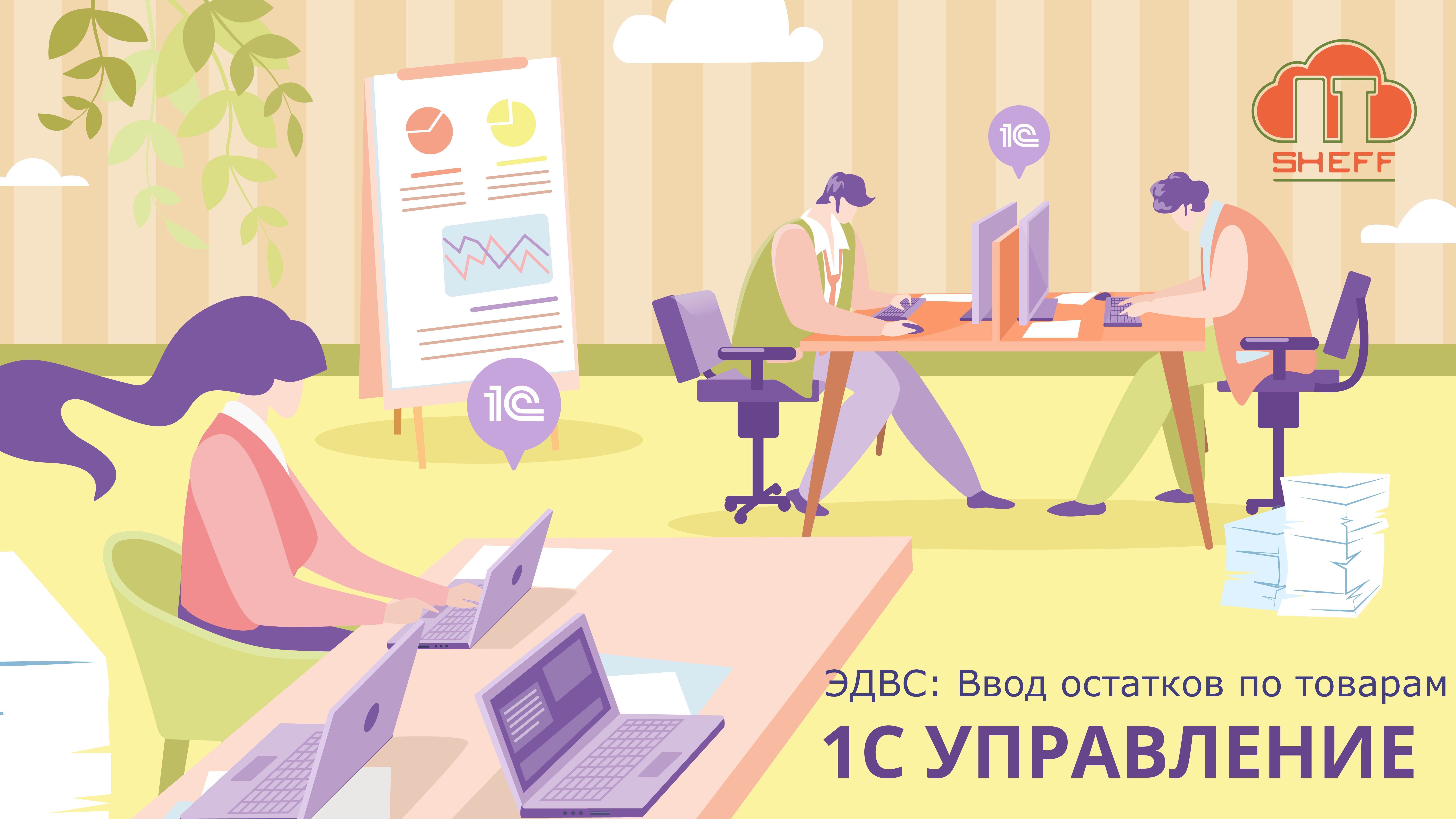 ЭДВС: Ввод остатков по товарам